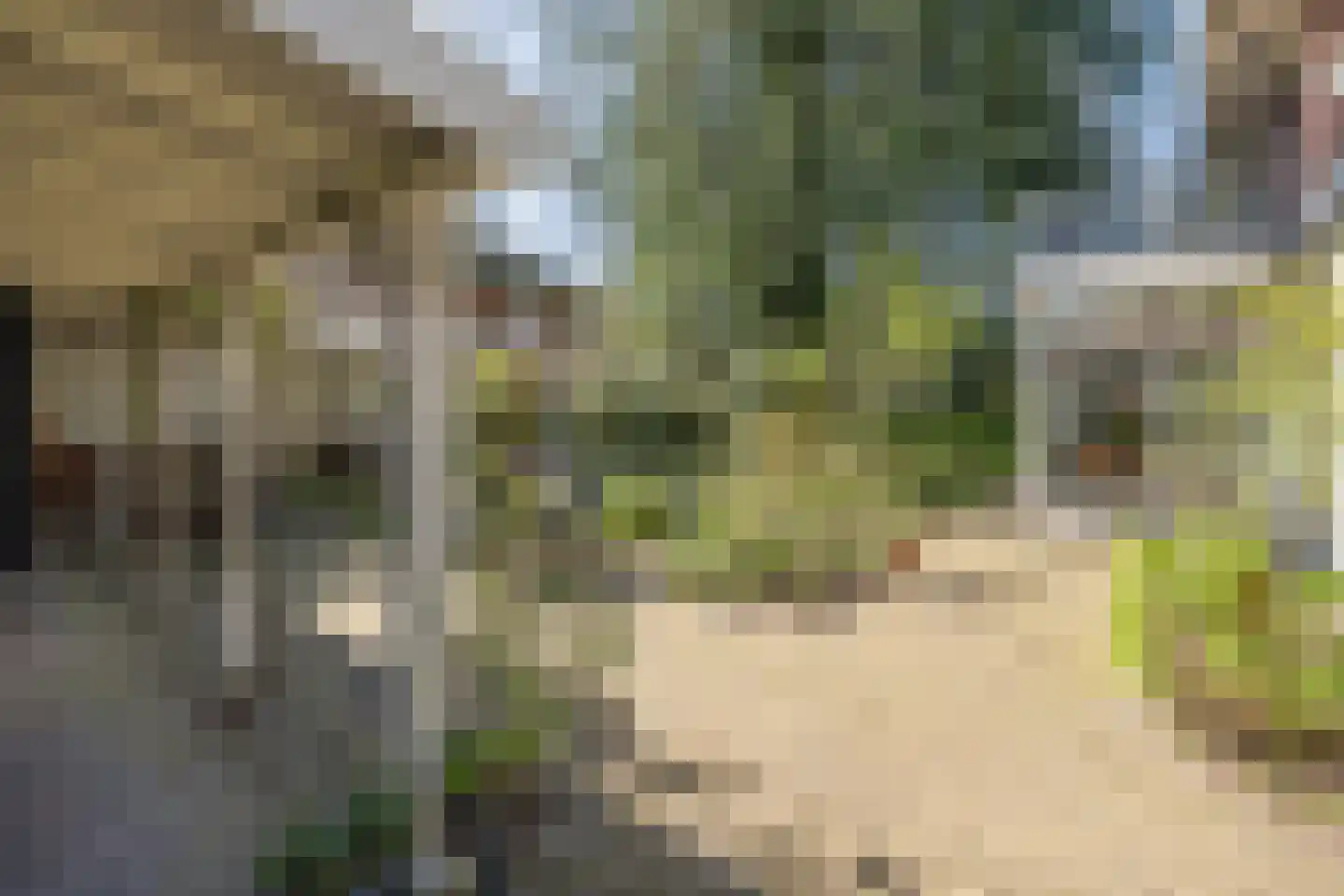 Hogesteeg 6 Driebergen-Rijsenburg thumbnail 52