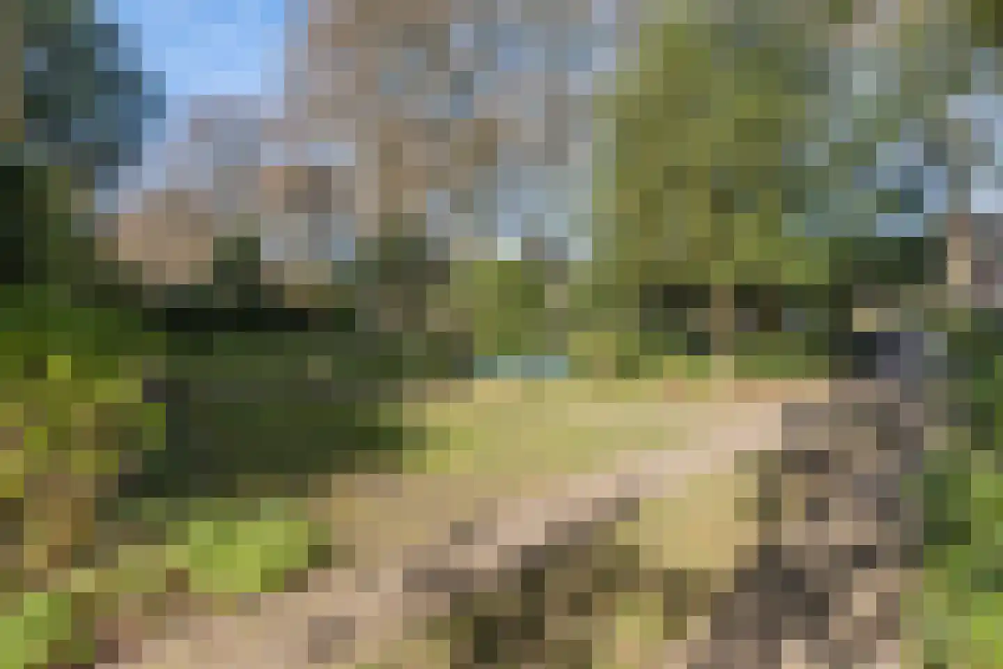 Hogesteeg 6 Driebergen-Rijsenburg thumbnail 53
