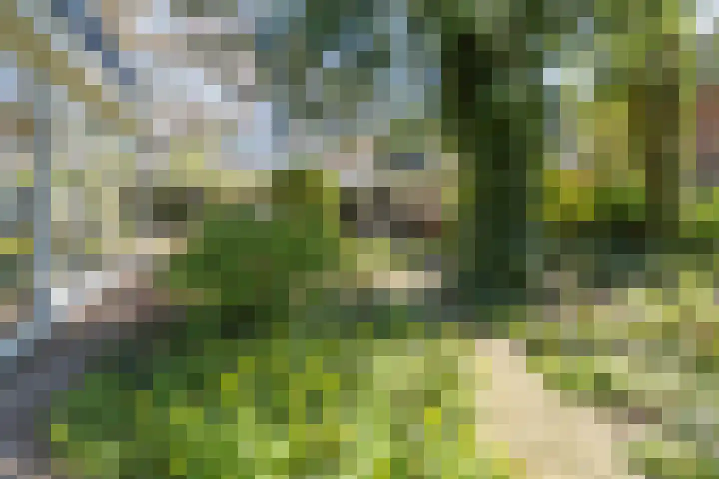Hogesteeg 6 Driebergen-Rijsenburg thumbnail 54