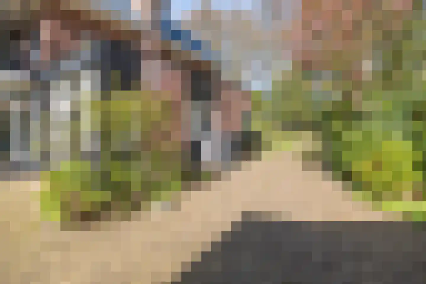 Hogesteeg 6 Driebergen-Rijsenburg thumbnail 56