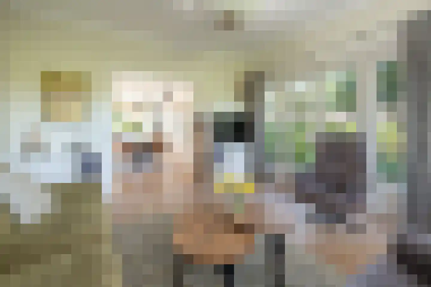 Hogesteeg 6 Driebergen-Rijsenburg thumbnail 7