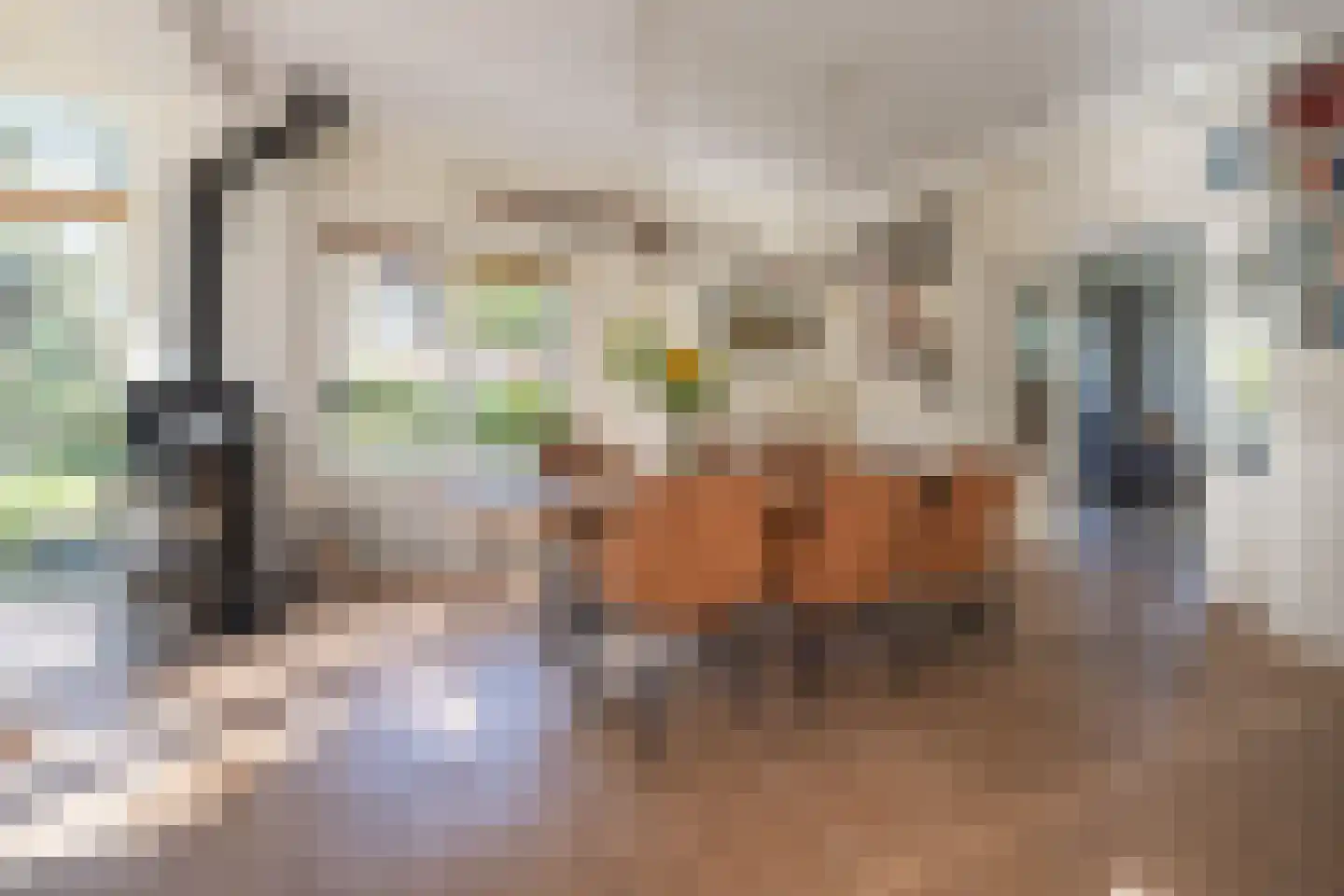 Hogesteeg 6 Driebergen-Rijsenburg thumbnail 9