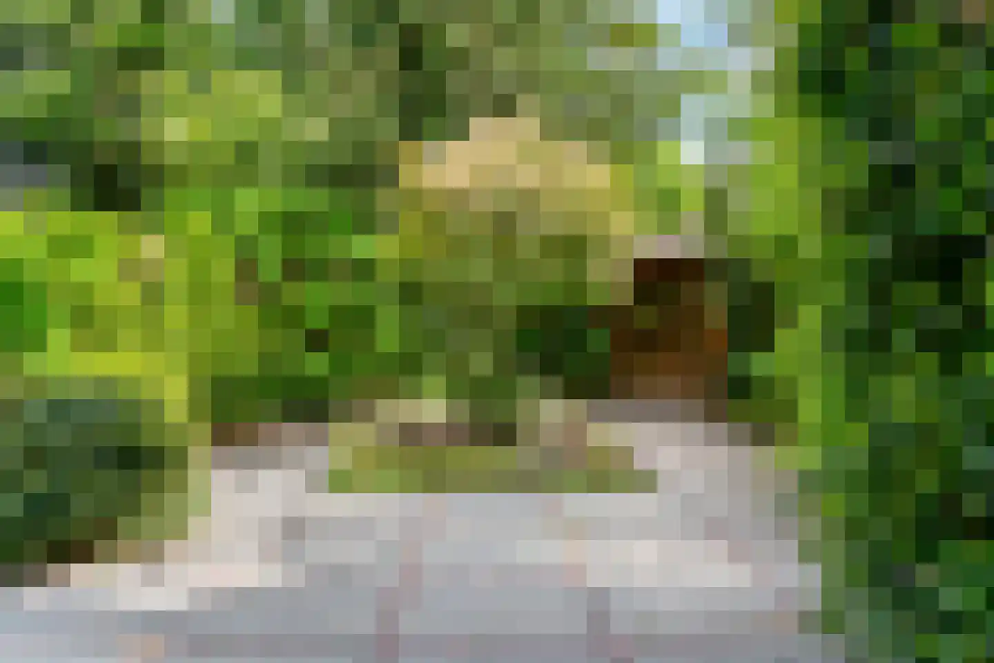 Hogesteeg 8 a Driebergen-Rijsenburg thumbnail 31