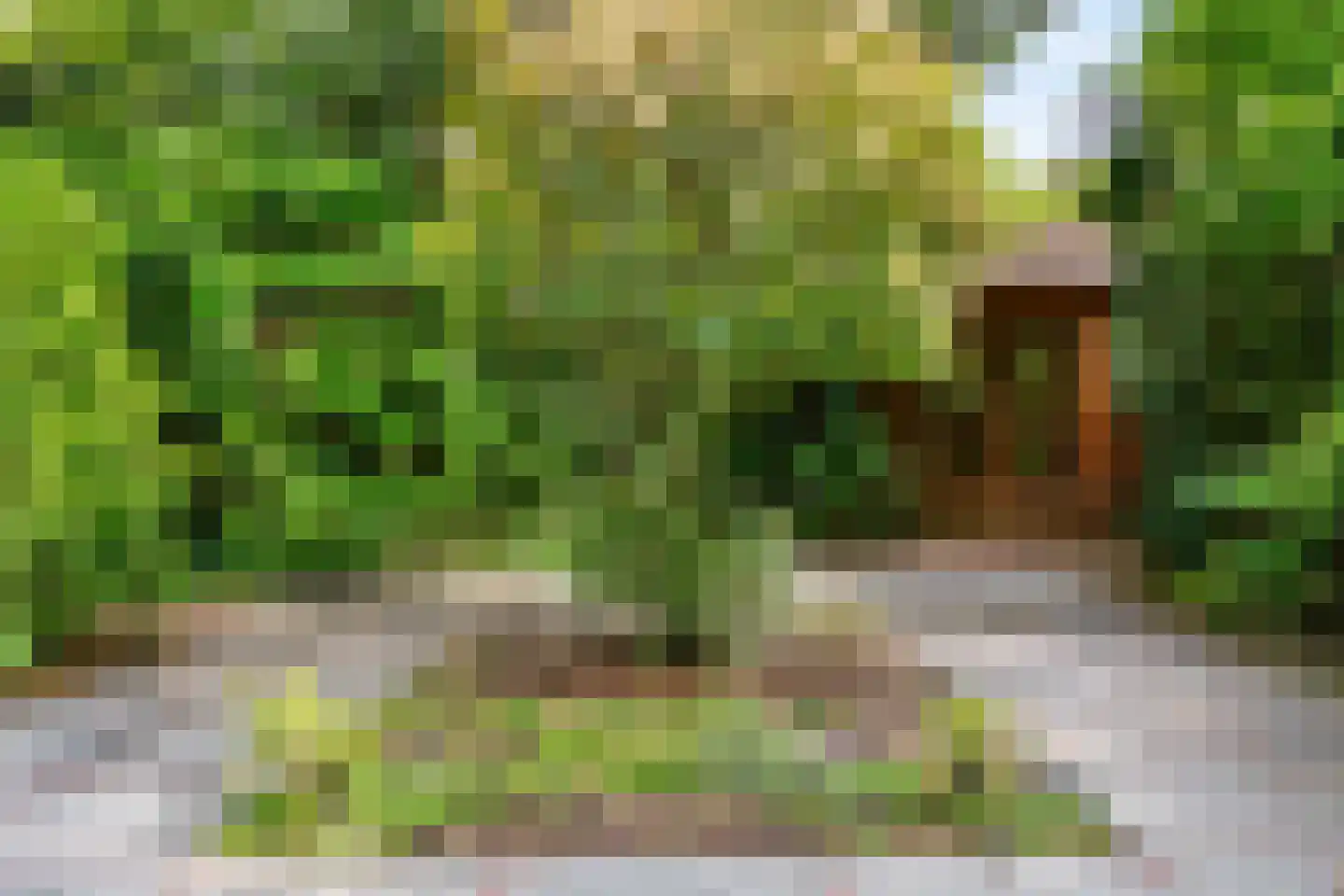 Hogesteeg 8 a Driebergen-Rijsenburg thumbnail 34