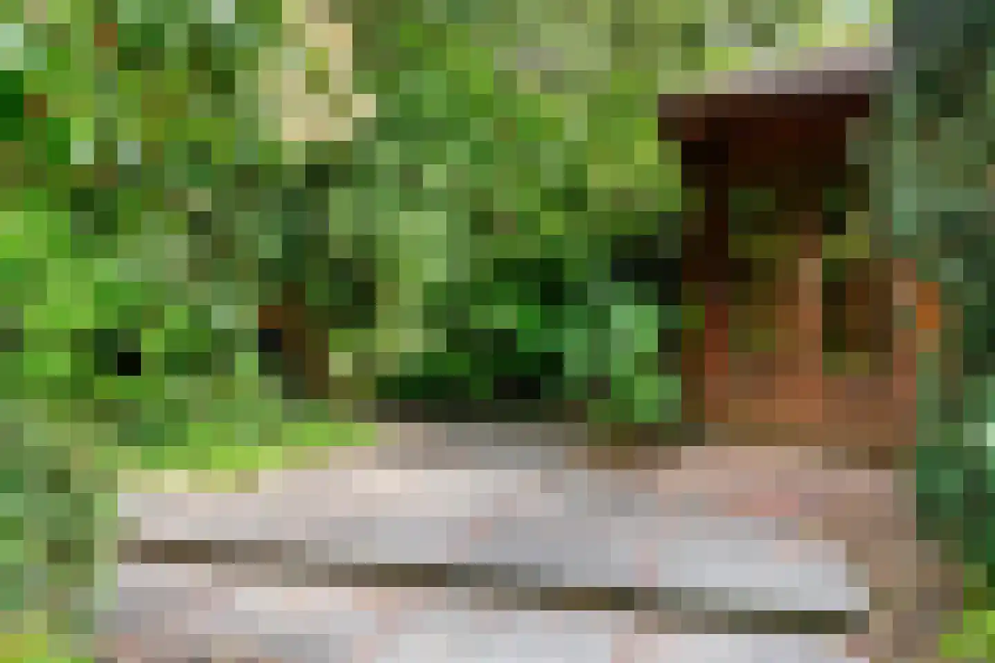 Hogesteeg 8 a Driebergen-Rijsenburg thumbnail 36