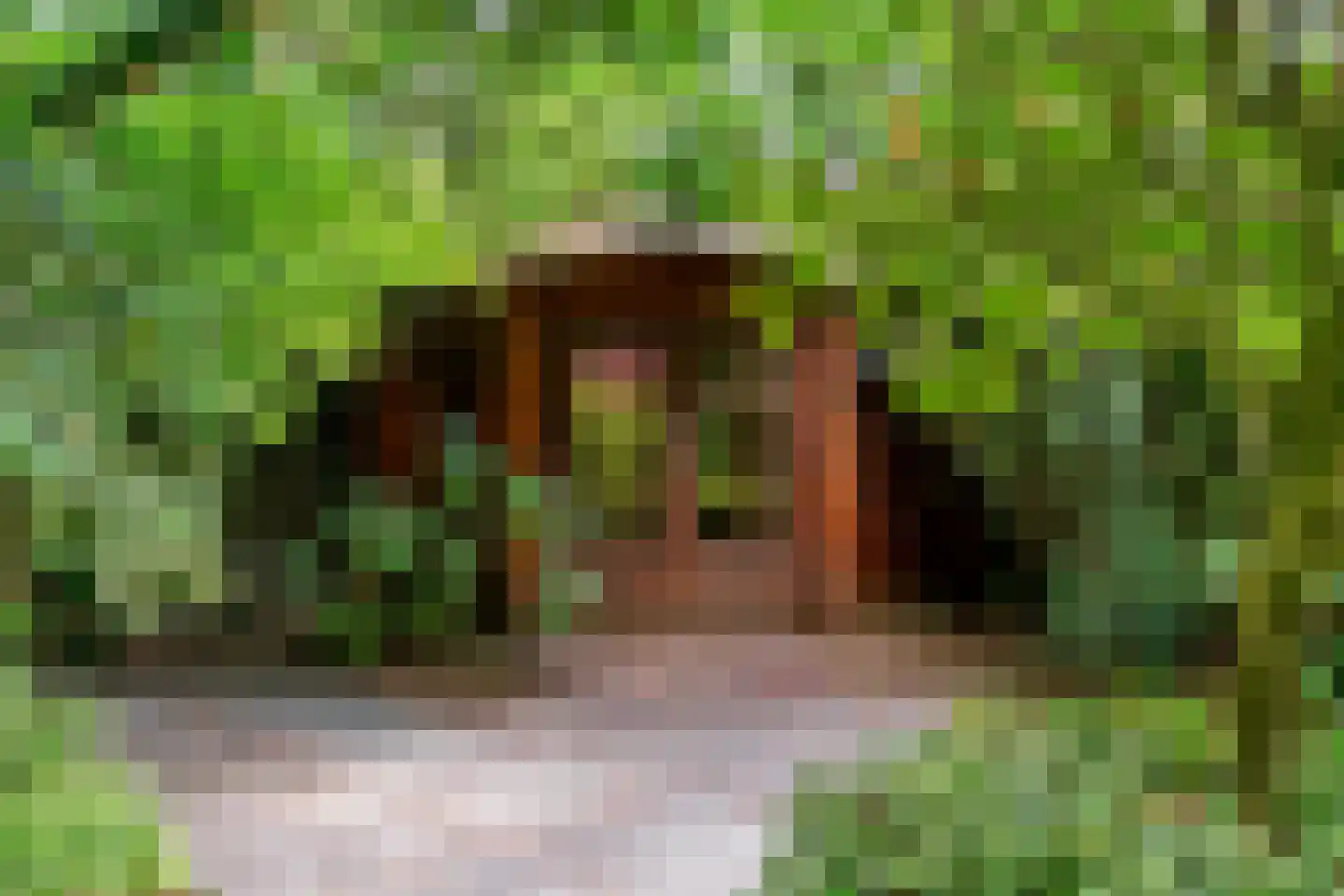 Hogesteeg 8 a Driebergen-Rijsenburg thumbnail 38