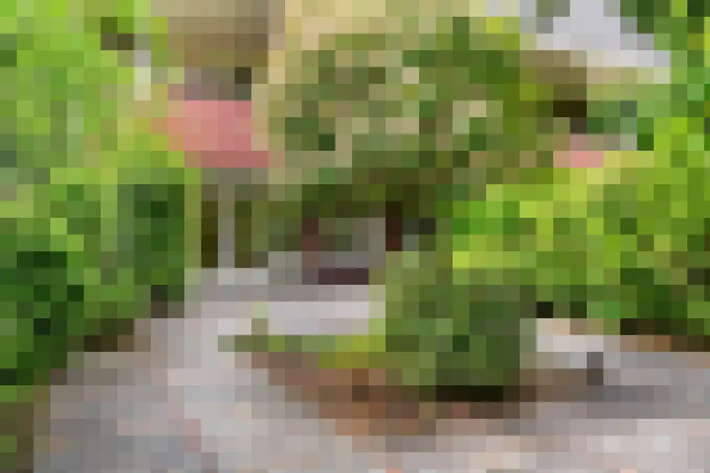 Hogesteeg 8 a Driebergen-Rijsenburg thumbnail 42