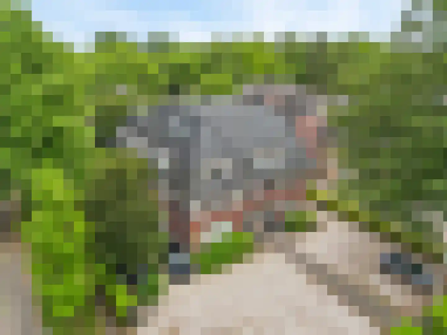 Hogesteeg 8 a Driebergen-Rijsenburg thumbnail 50