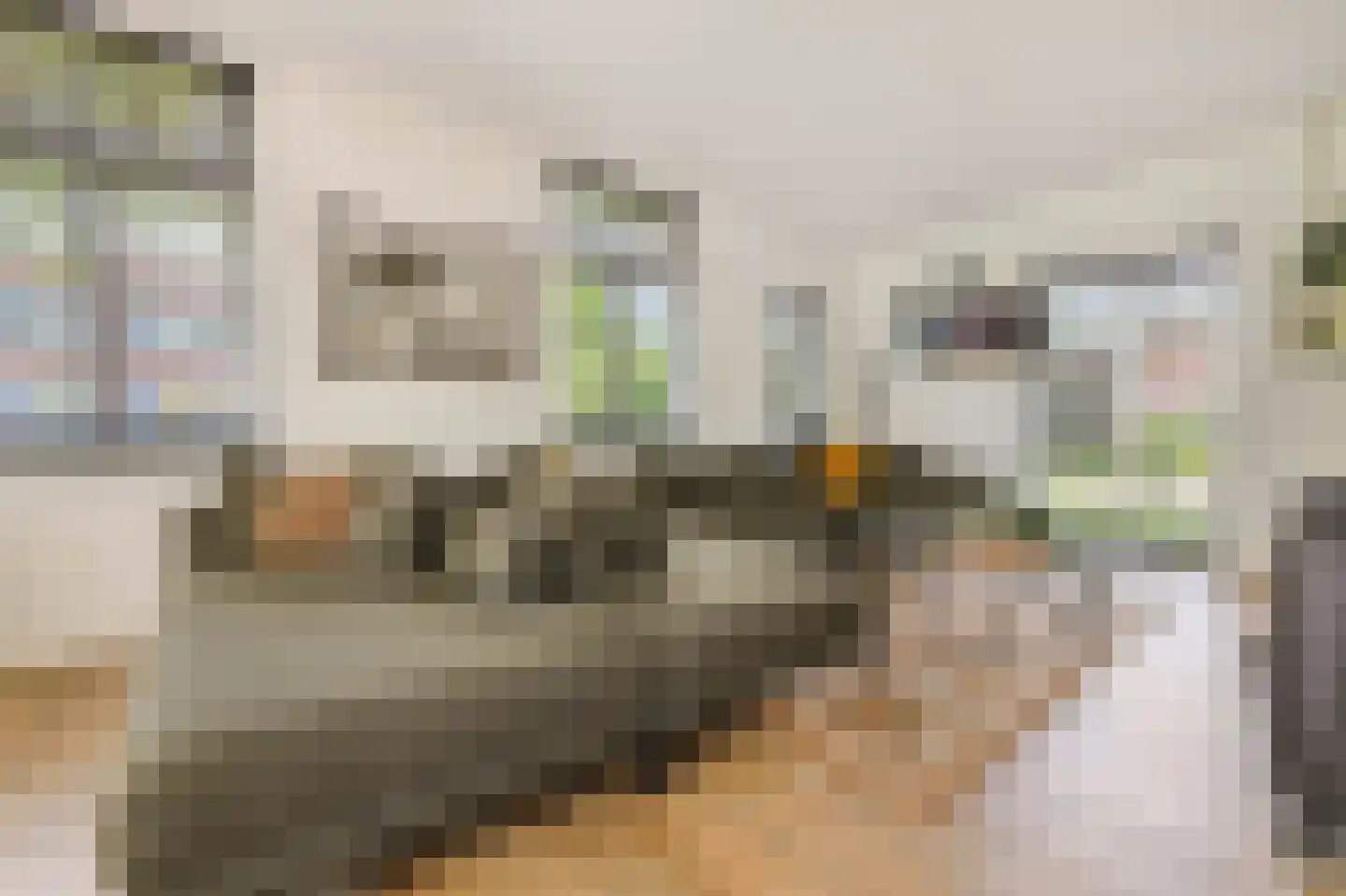 Hogesteeg 8 Amersfoort thumbnail 10