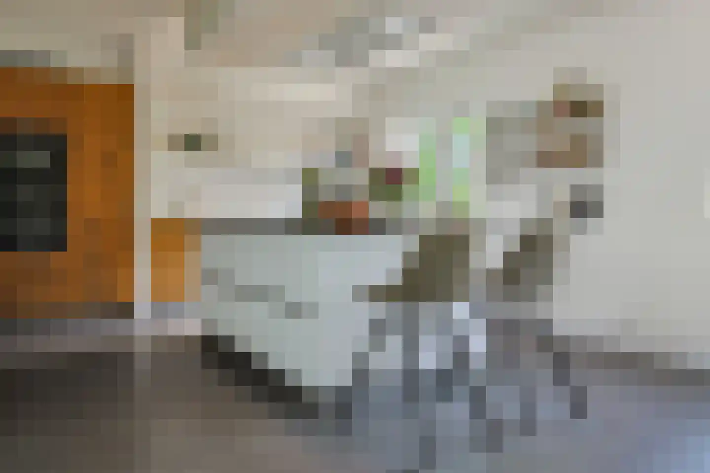 Hogesteeg 8 Amersfoort thumbnail 20