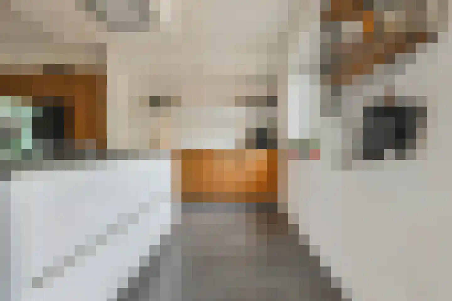 Hogesteeg 8 Amersfoort thumbnail 22