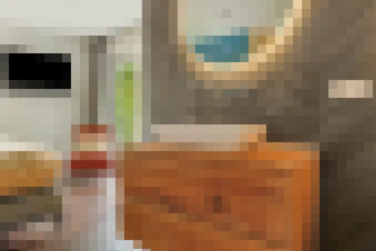 Hogesteeg 8 Amersfoort thumbnail 30