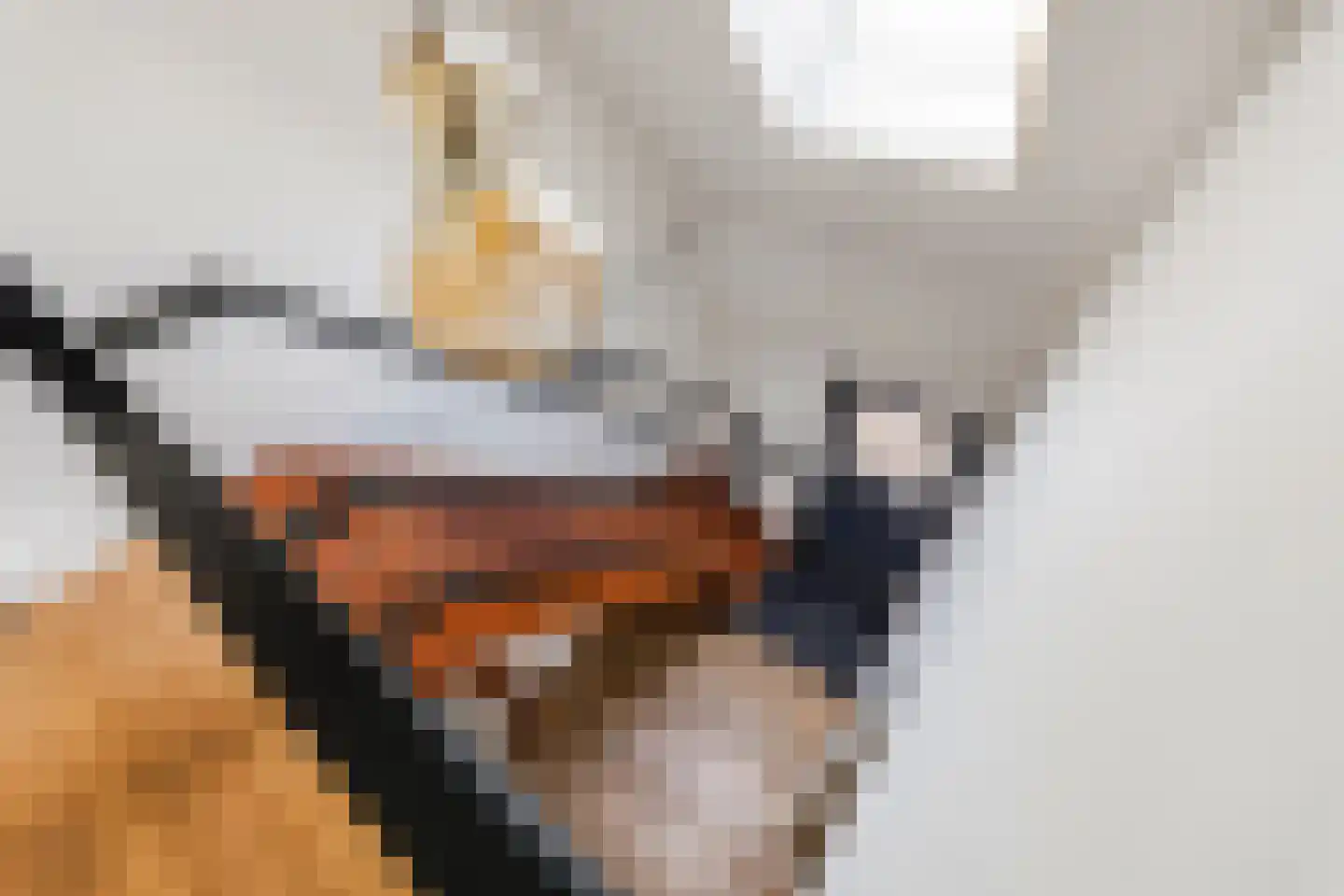 Hogesteeg 8 Amersfoort thumbnail 33