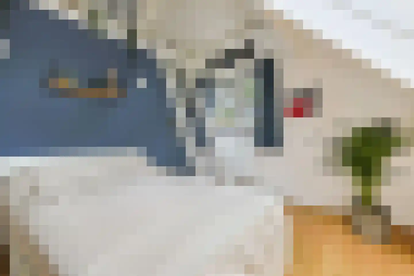 Hogesteeg 8 Amersfoort thumbnail 41