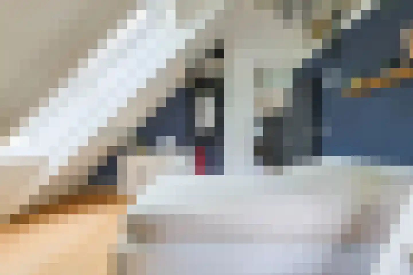 Hogesteeg 8 Amersfoort thumbnail 42