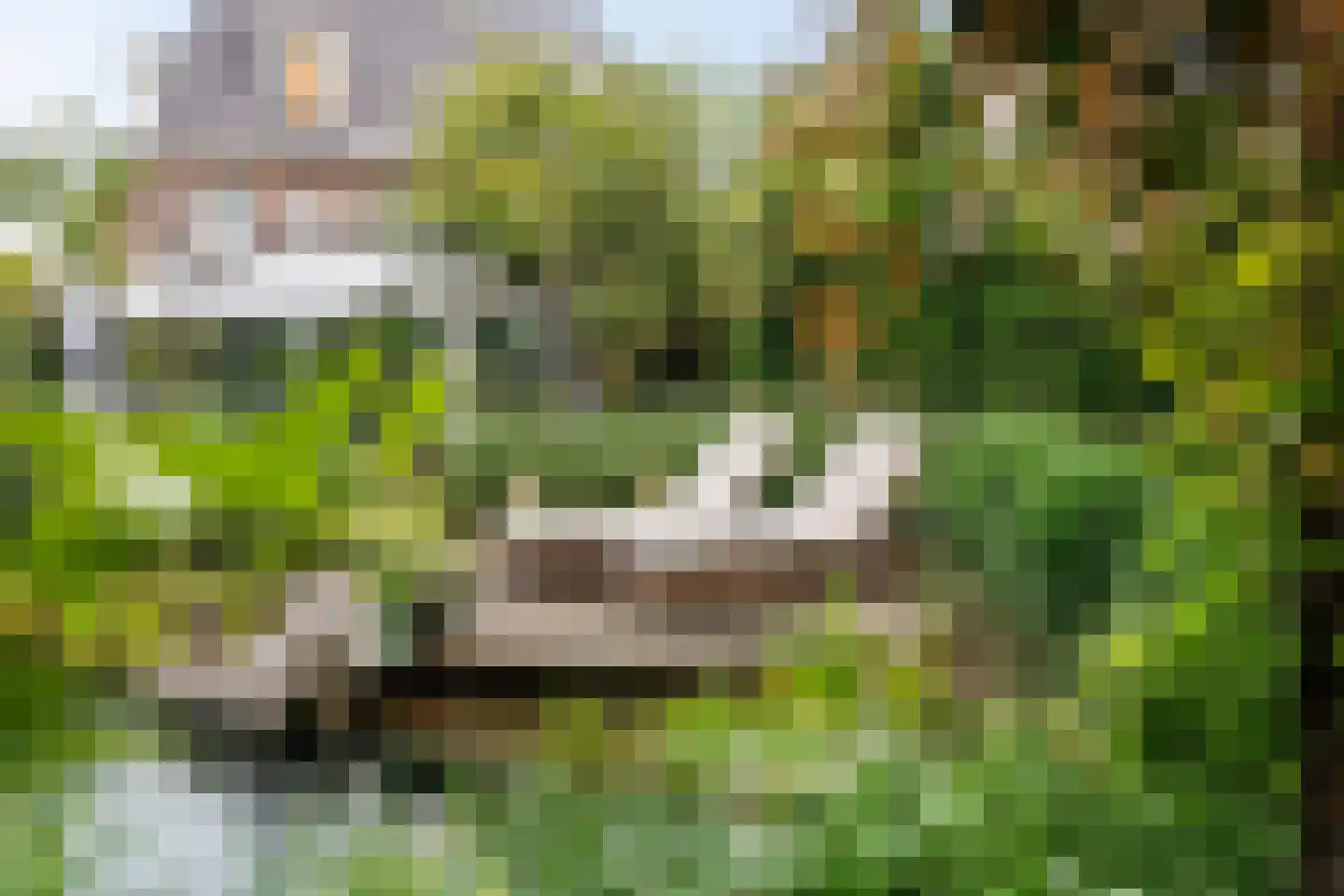 Hogesteeg 8 Amersfoort thumbnail 52