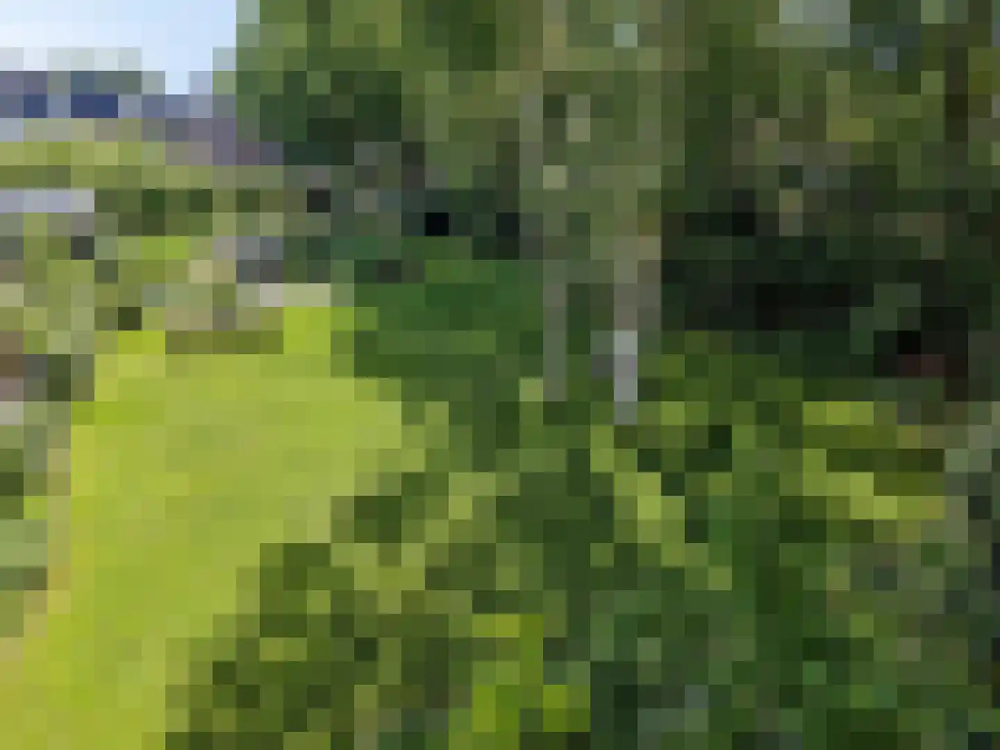 Hogesteeg 8 Amersfoort thumbnail 56