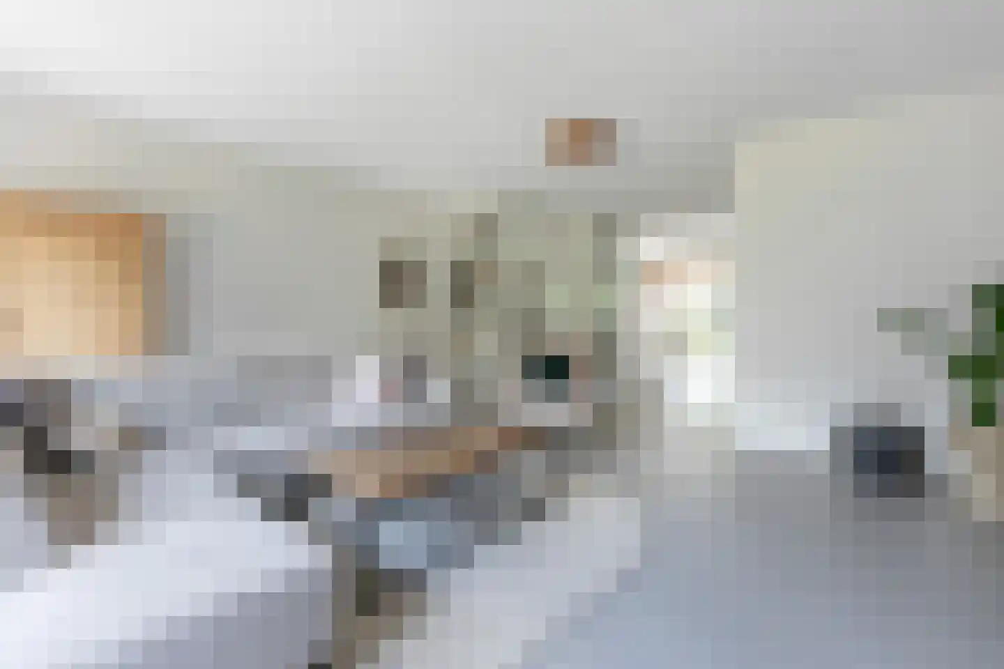 Hogesteeg 83 Amersfoort thumbnail 15