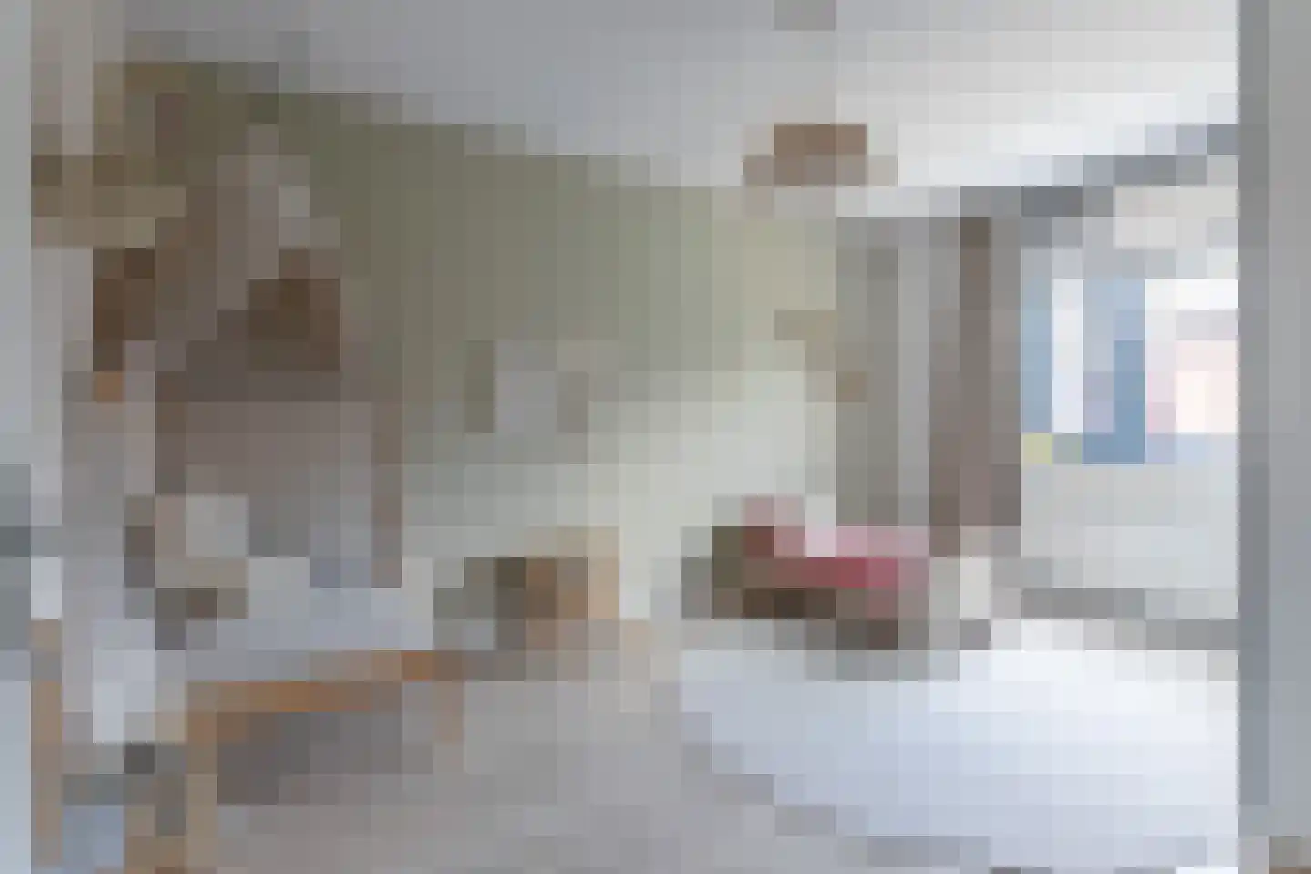 Hogesteeg 83 Amersfoort thumbnail 29