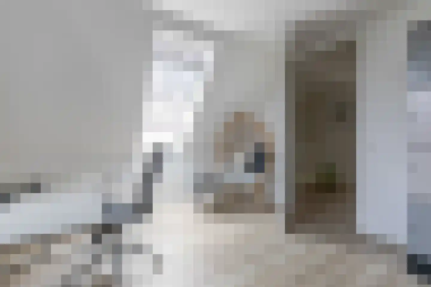Hogesteeg 83 Amersfoort thumbnail 38