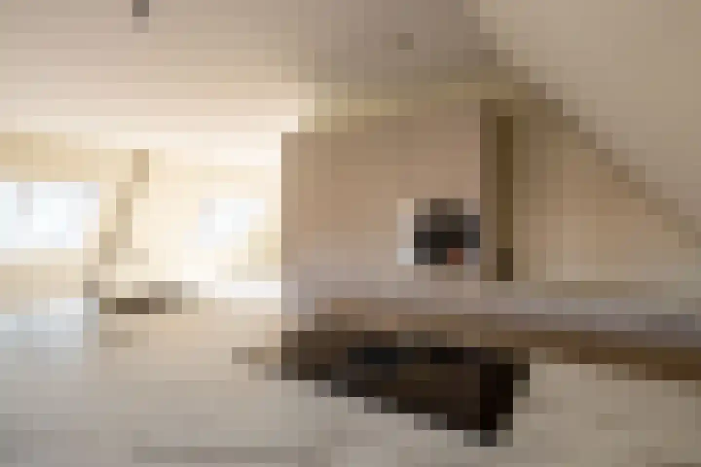 Hogestraat 1 Loppersum thumbnail 14