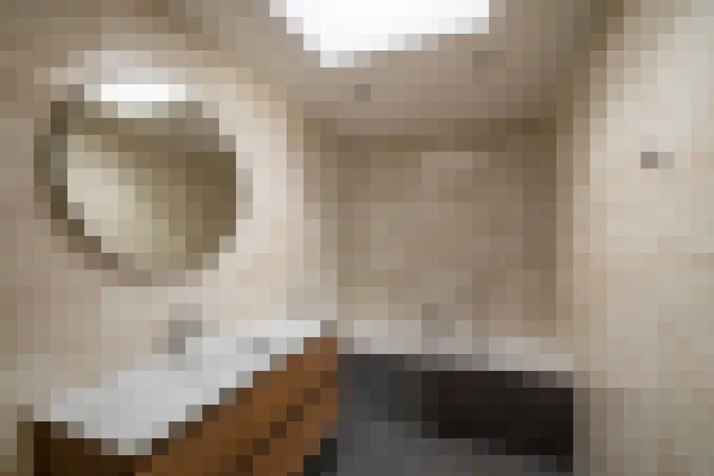 Hogestraat 1 Loppersum thumbnail 17