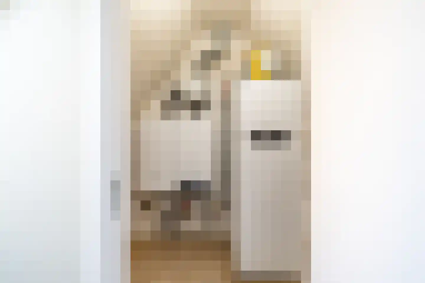 Hogestraat 1 Loppersum thumbnail 28