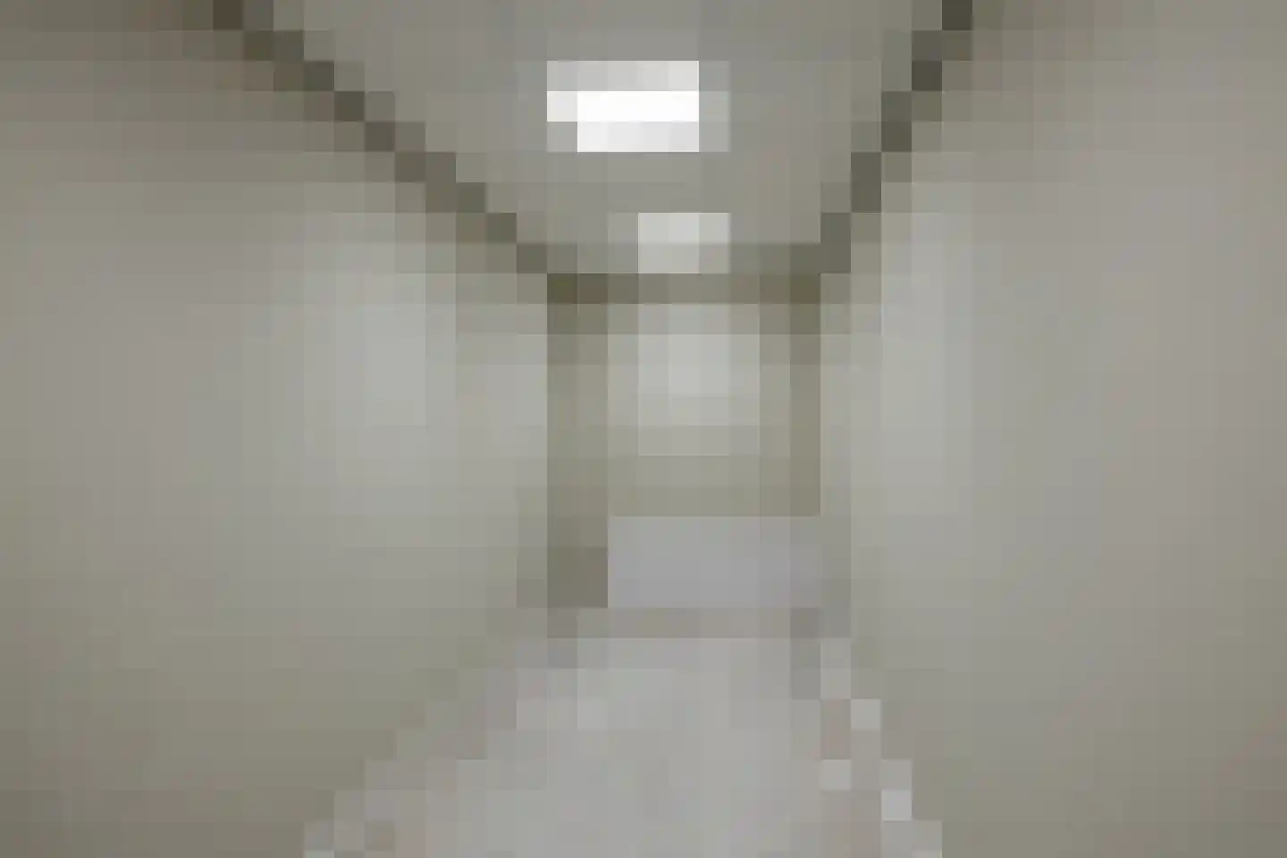 Hogestraat 1 Loppersum thumbnail 37