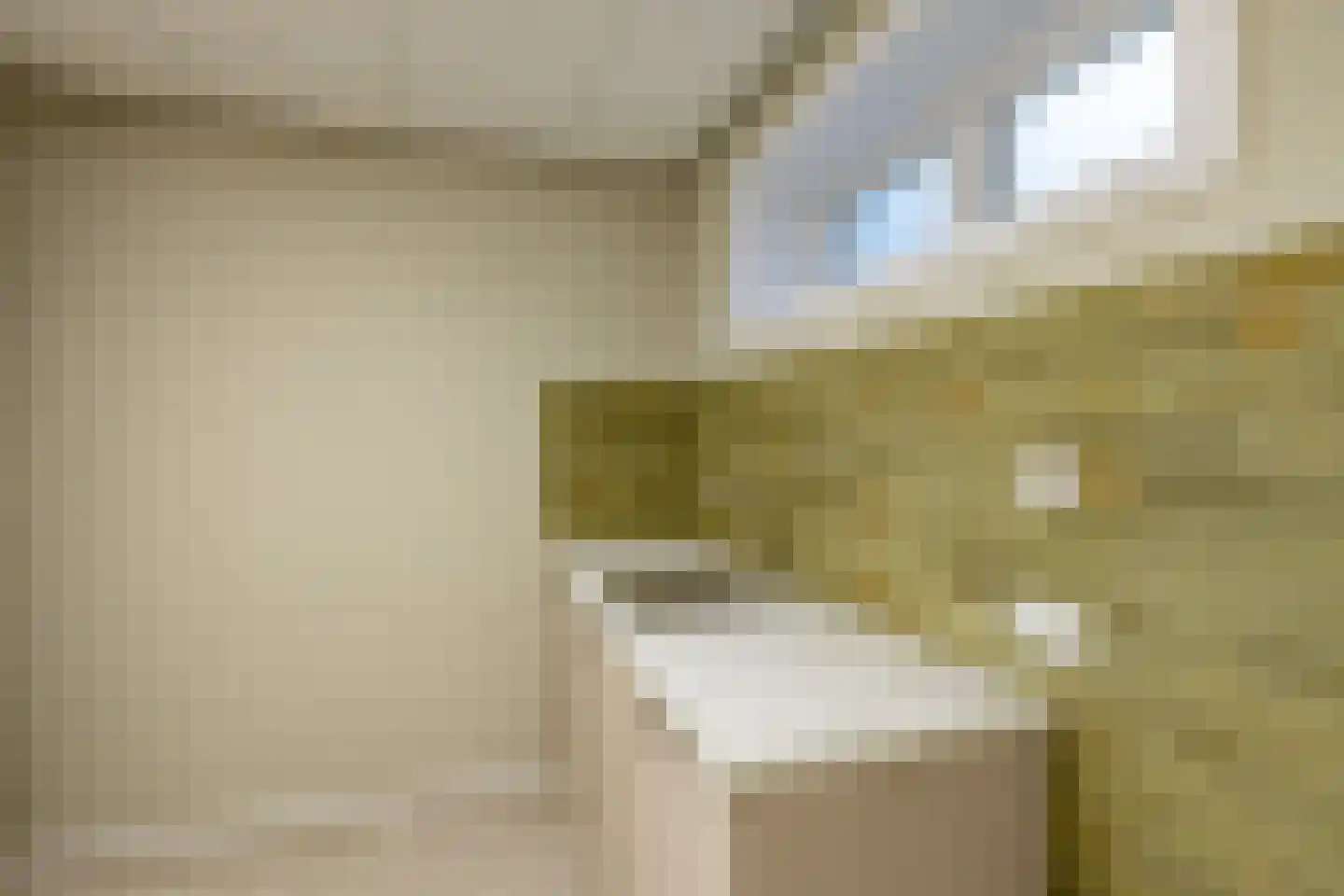 Hogestraat 1 Loppersum thumbnail 40