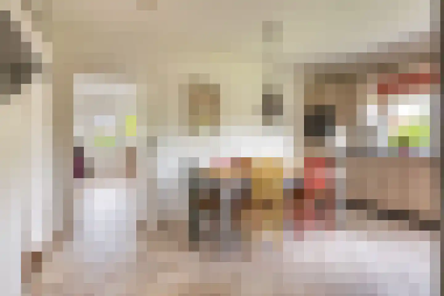 Hogestraat 1 Oene thumbnail 10