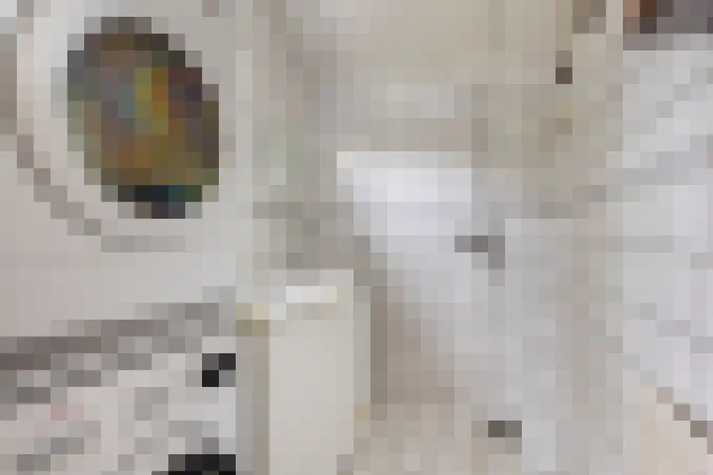 Hogestraat 1 Oene thumbnail 13