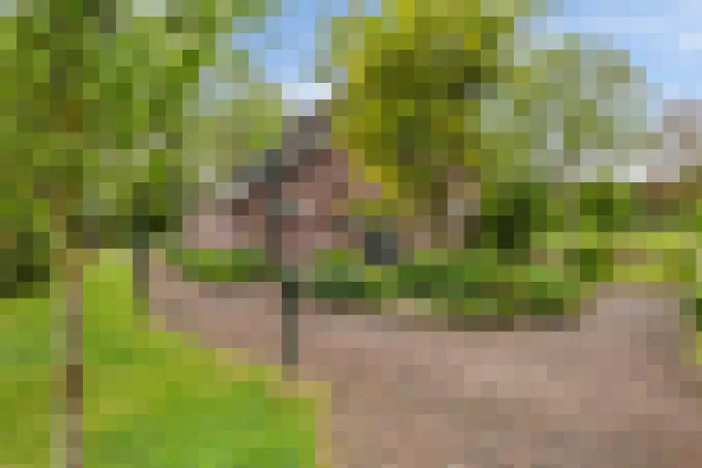 Hogestraat 1 Oene thumbnail 37