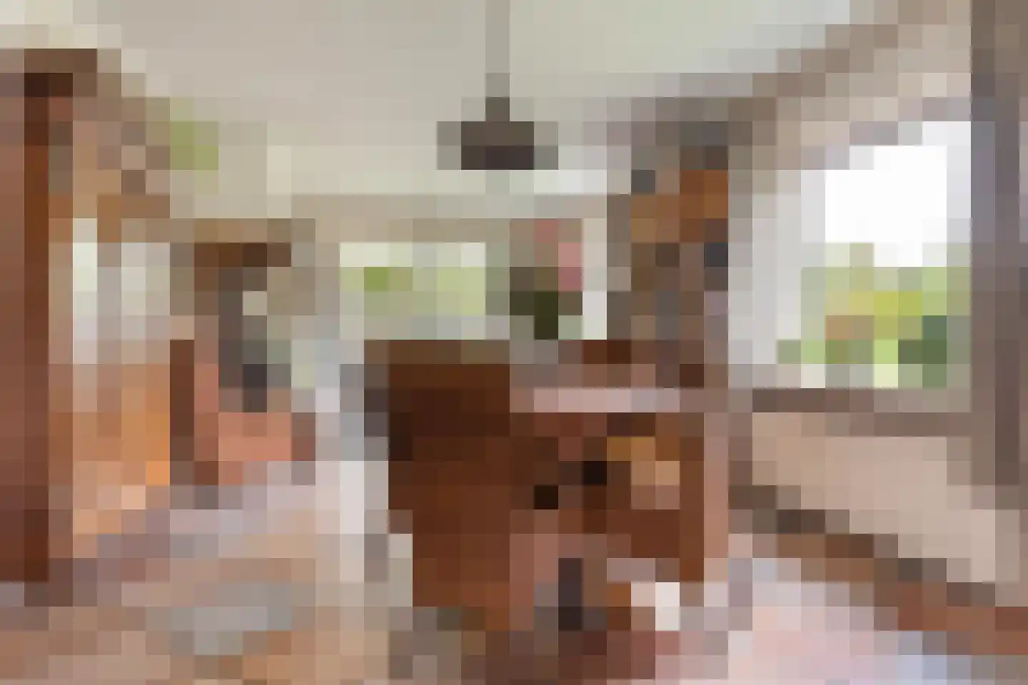 Hogestraat 1 Oene thumbnail 6