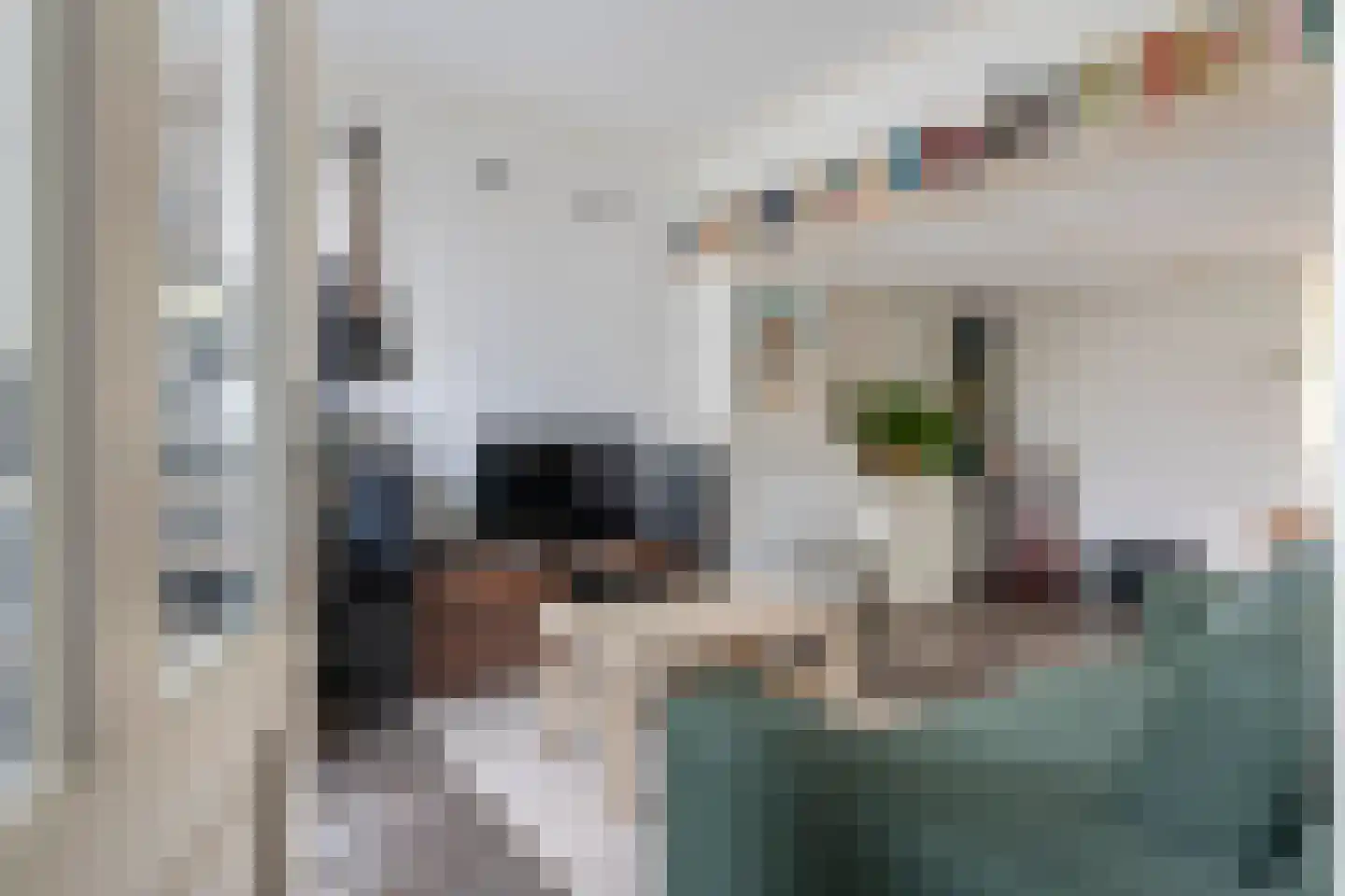 Hogestraat 105 Tiel thumbnail 13