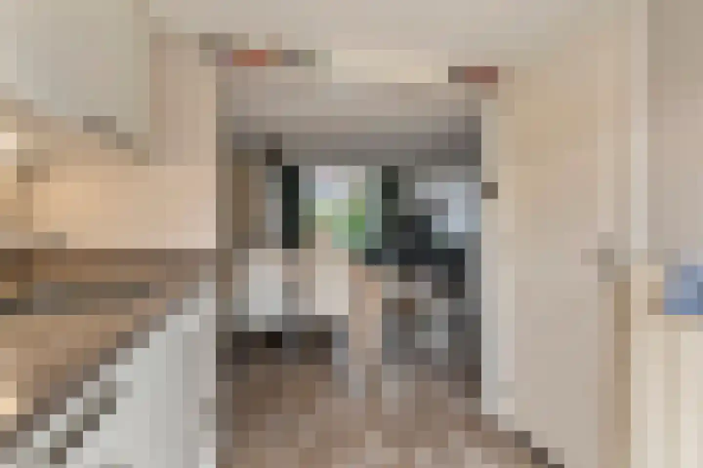 Hogestraat 105 Tiel thumbnail 18