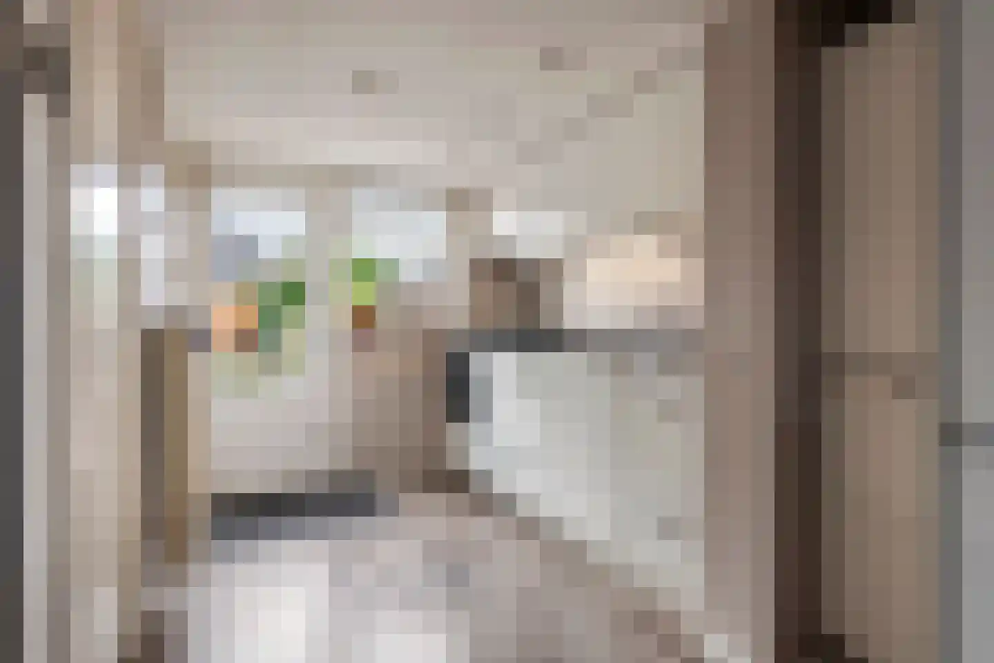 Hogestraat 105 Tiel thumbnail 19