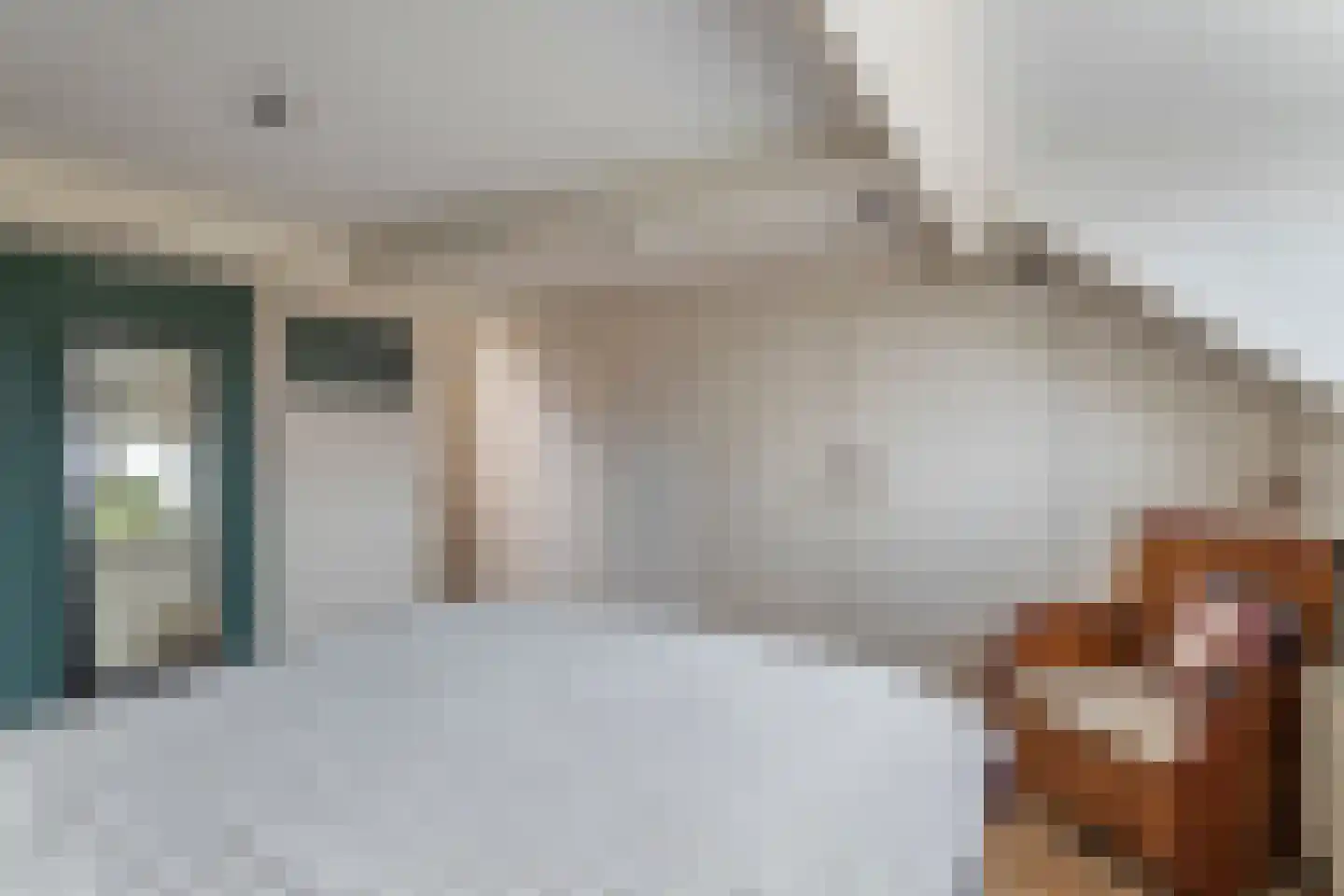 Hogestraat 105 Tiel thumbnail 29