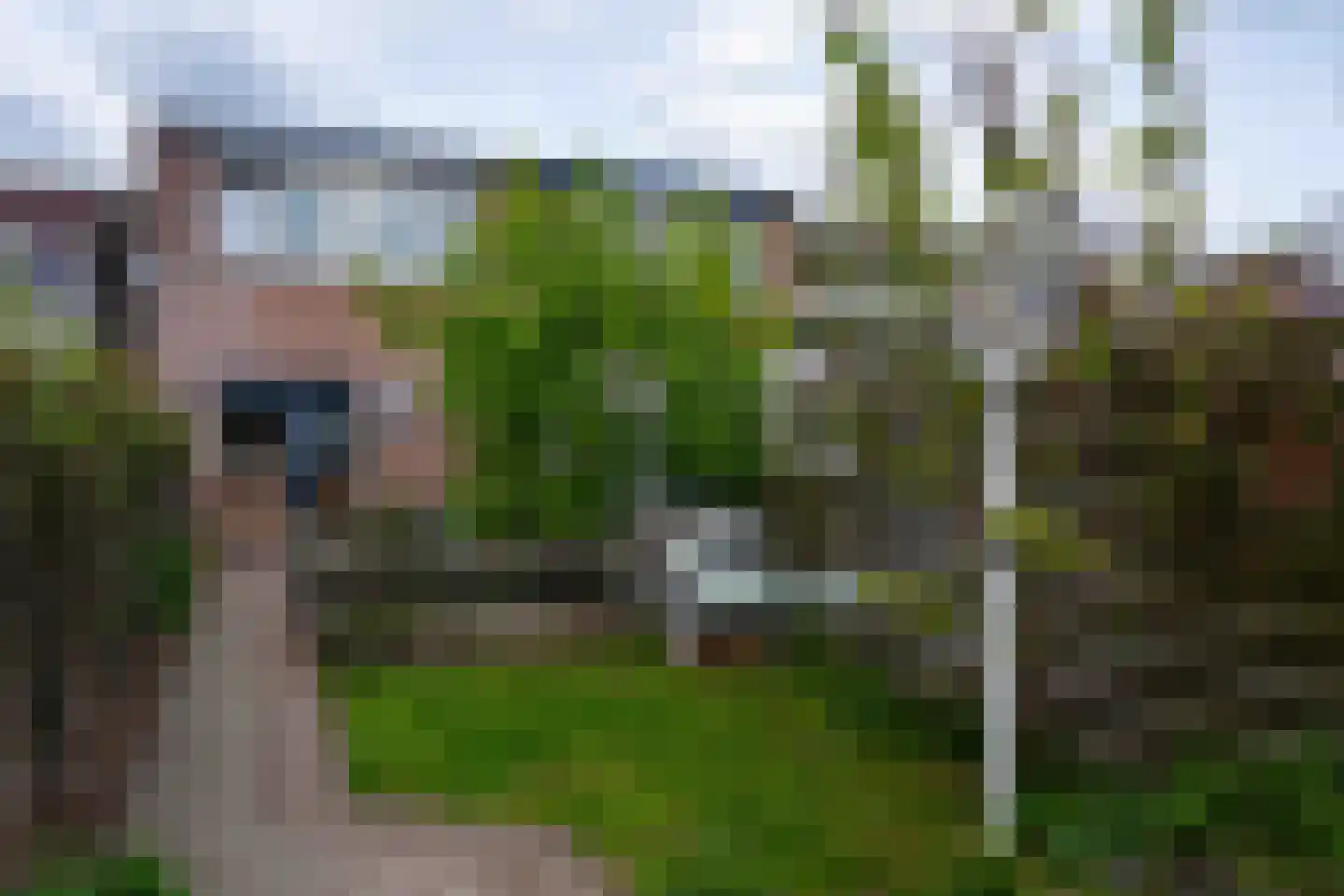 Hogestraat 105 Tiel thumbnail 37