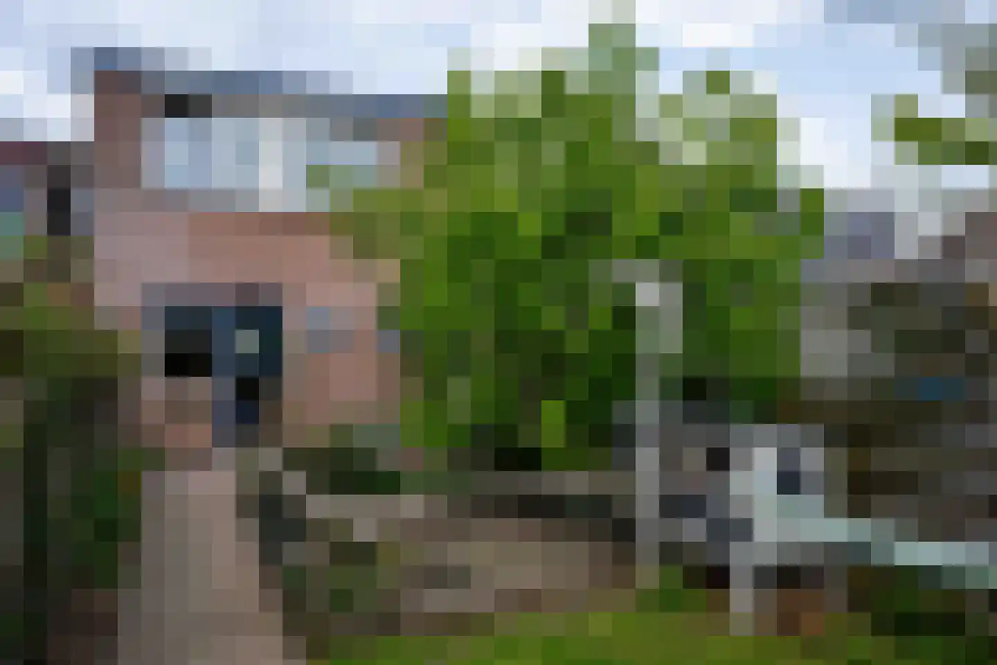 Hogestraat 105 Tiel thumbnail 38
