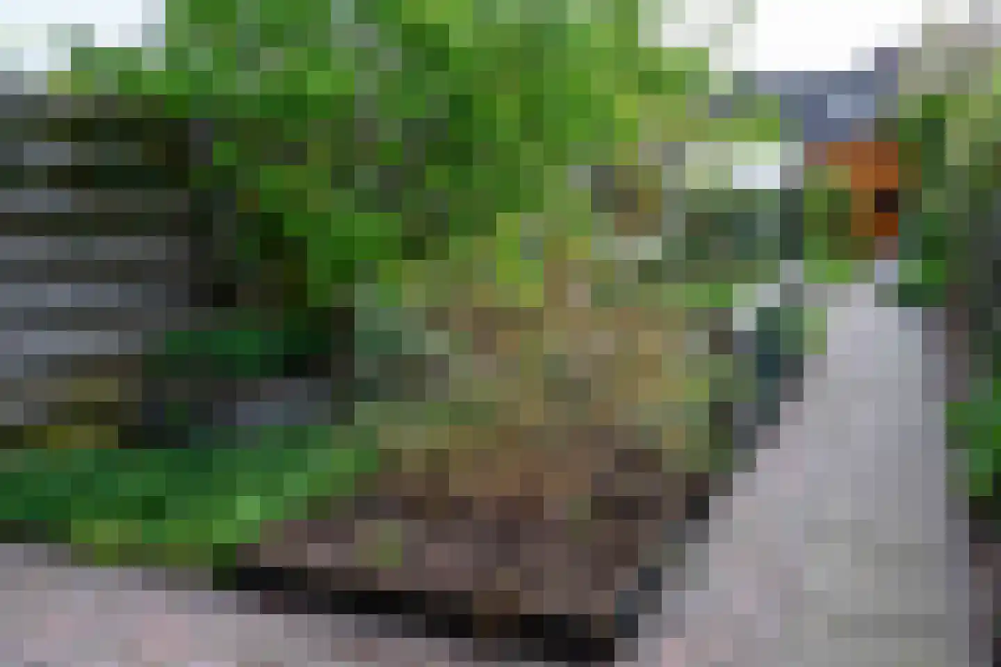 Hogestraat 105 Tiel thumbnail 41
