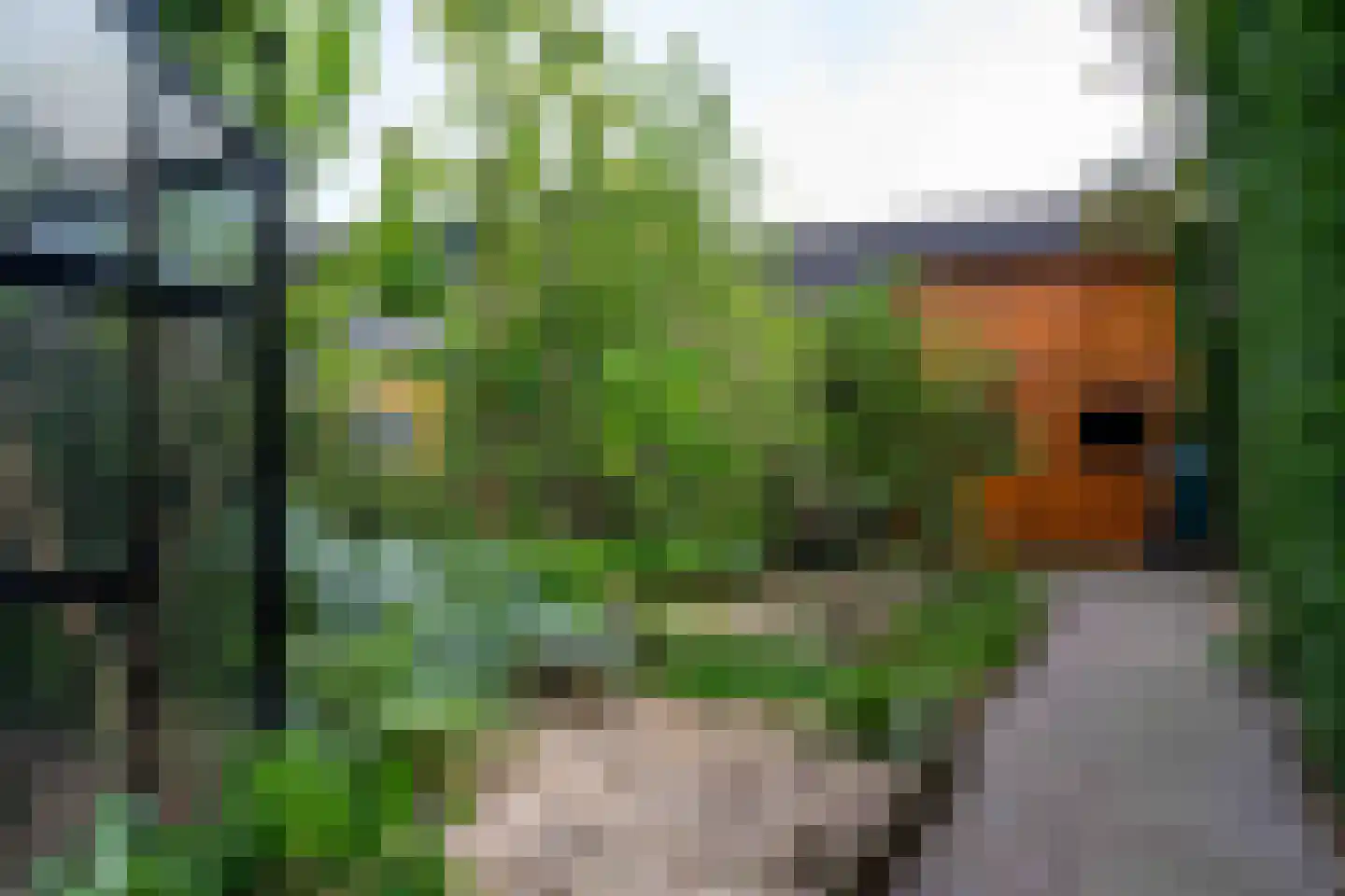 Hogestraat 105 Tiel thumbnail 42
