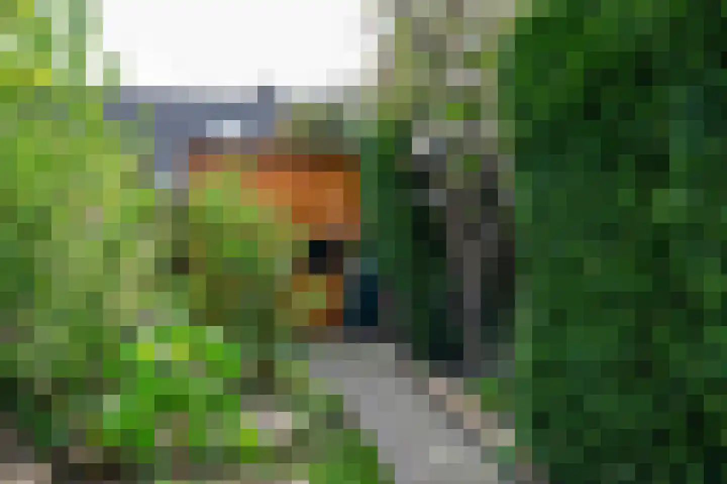 Hogestraat 105 Tiel thumbnail 43