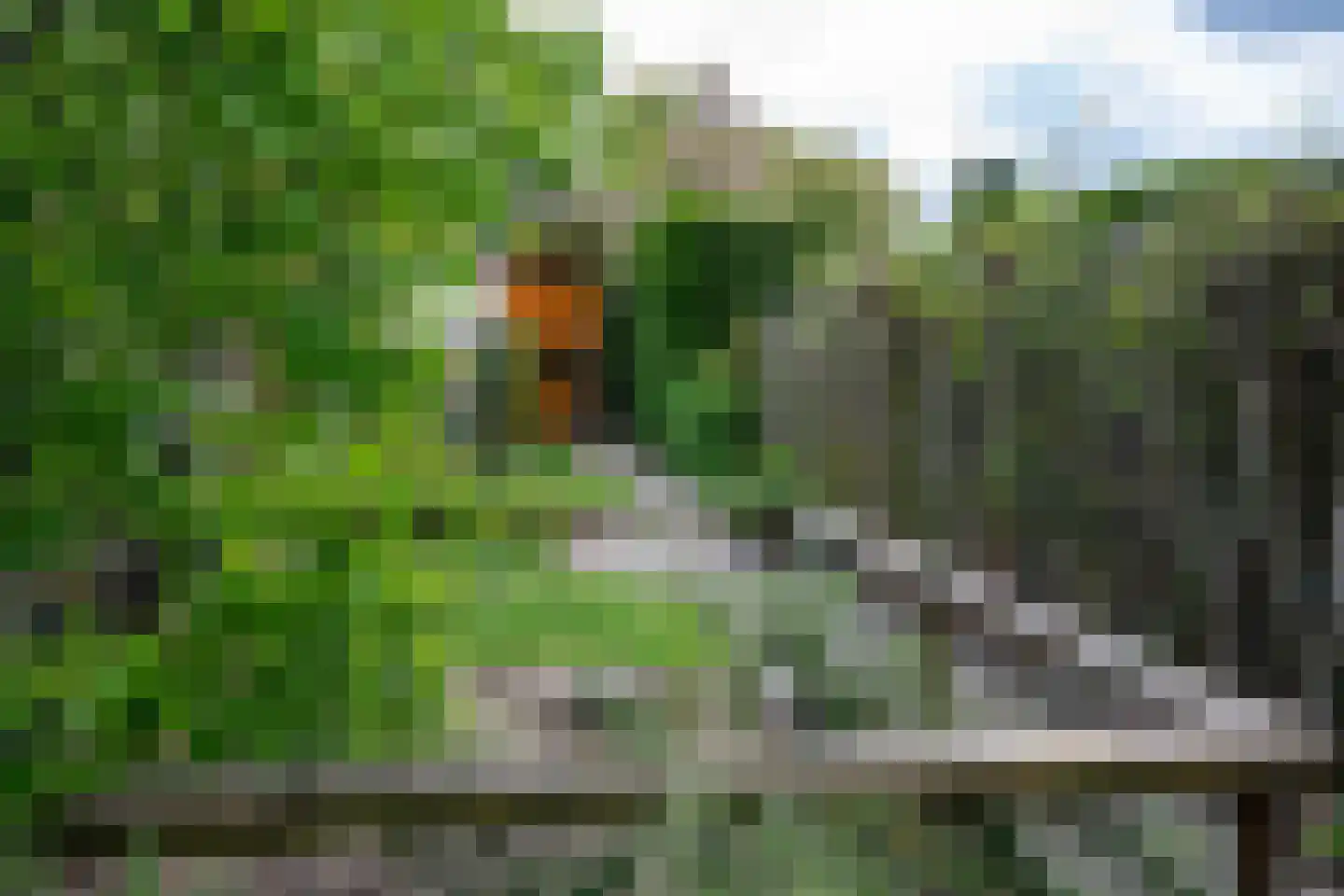 Hogestraat 105 Tiel thumbnail 45