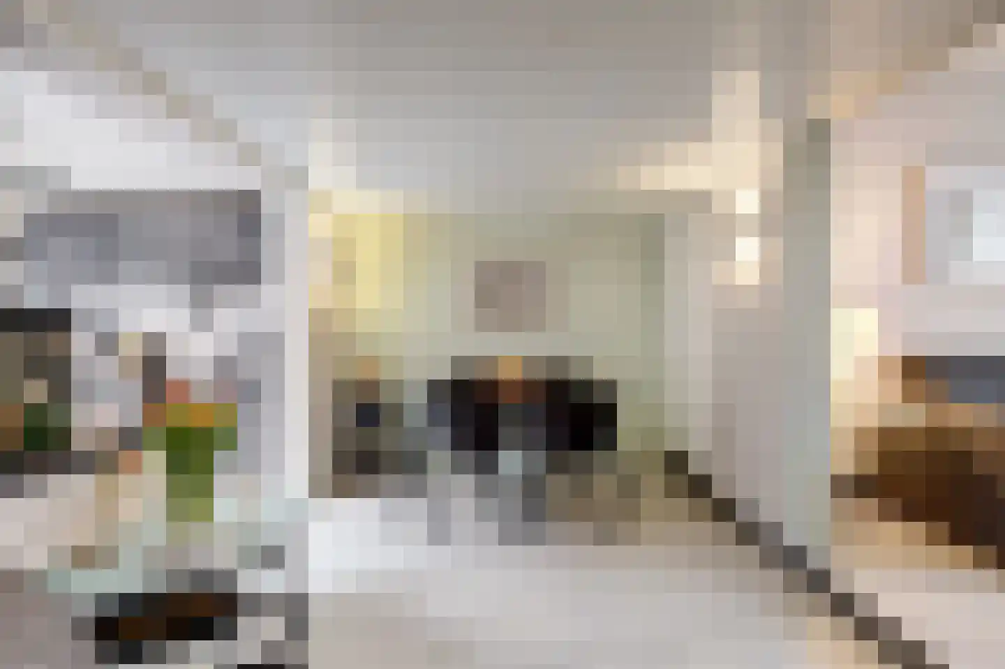Hogestraat 107 Tiel thumbnail 10