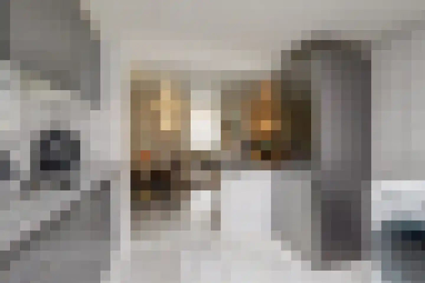 Hogestraat 107 Tiel thumbnail 12