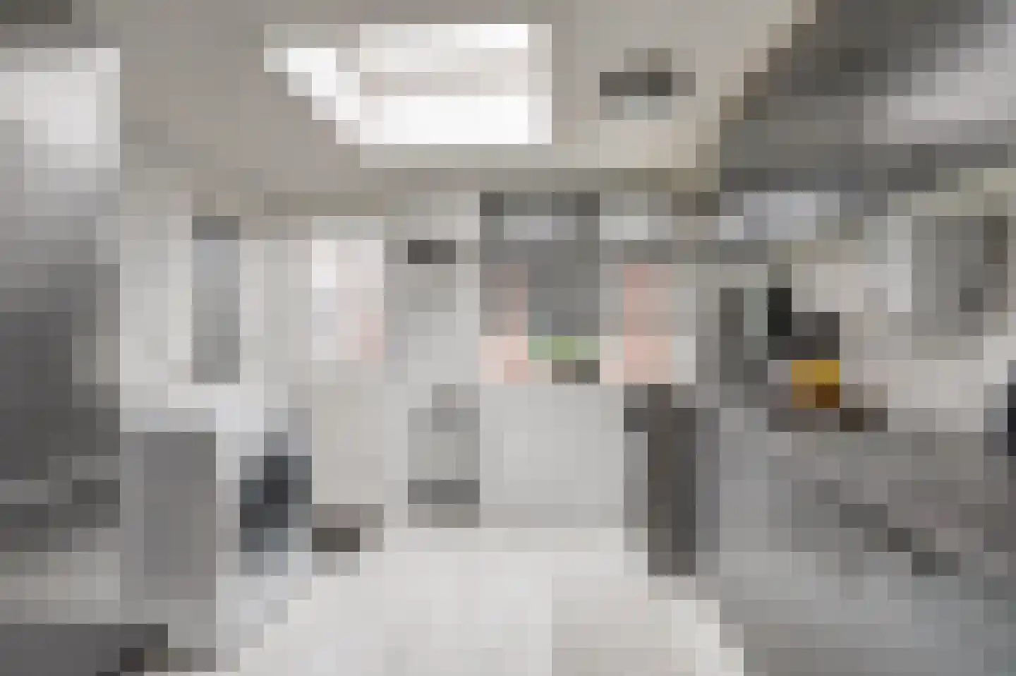Hogestraat 107 Tiel thumbnail 14