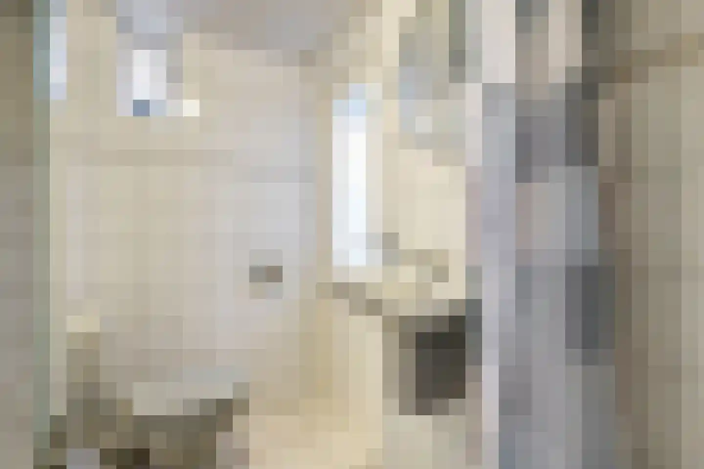 Hogestraat 107 Tiel thumbnail 16