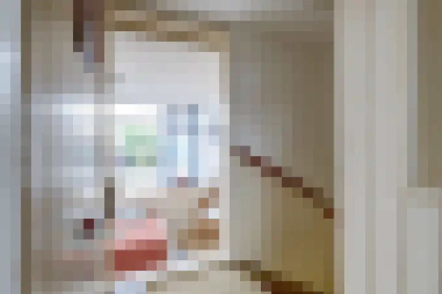 Hogestraat 107 Tiel thumbnail 20