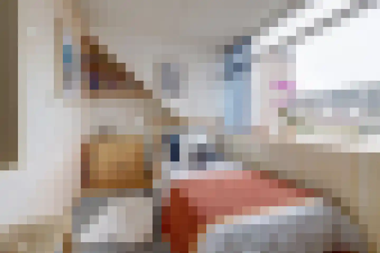 Hogestraat 107 Tiel thumbnail 21