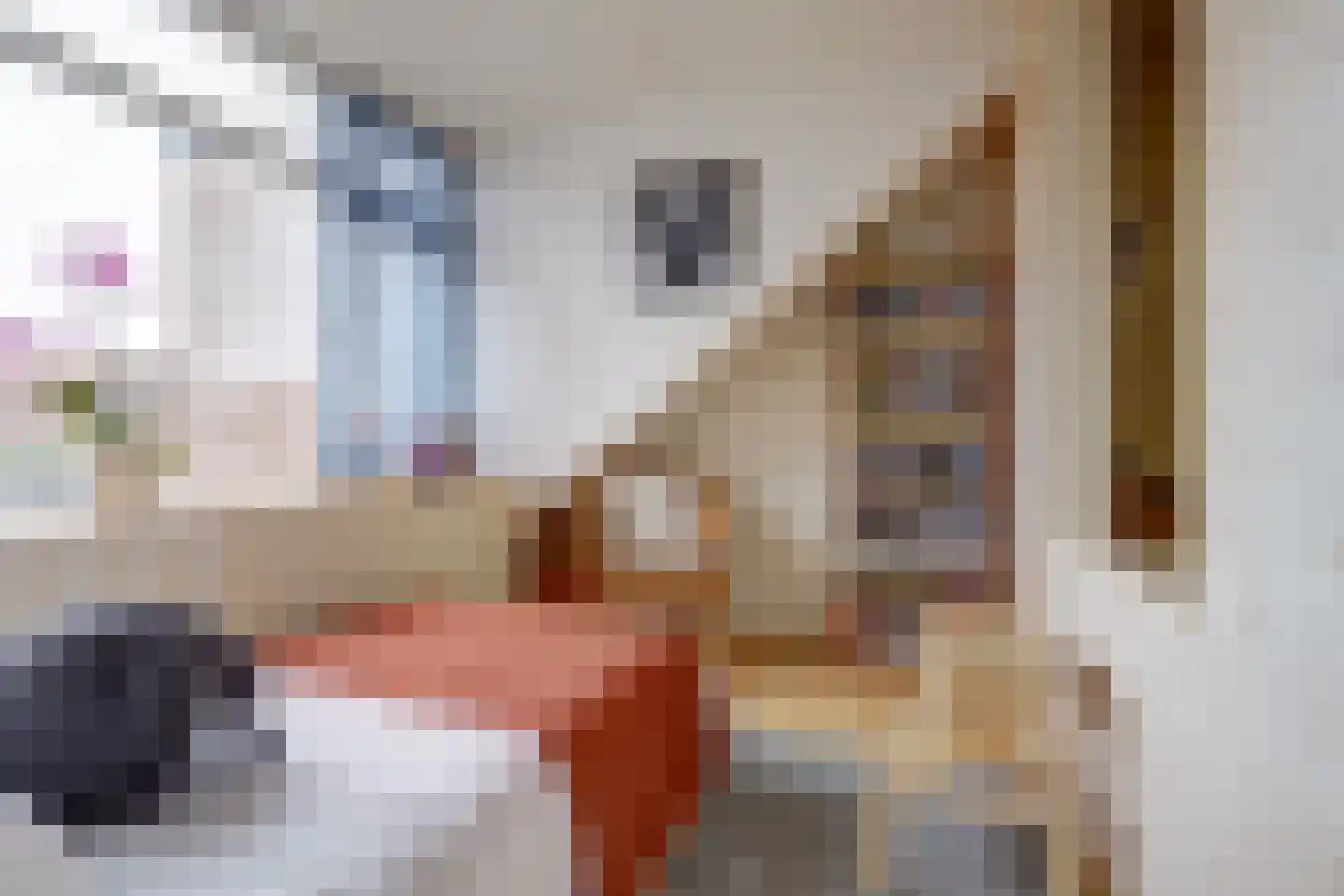 Hogestraat 107 Tiel thumbnail 22